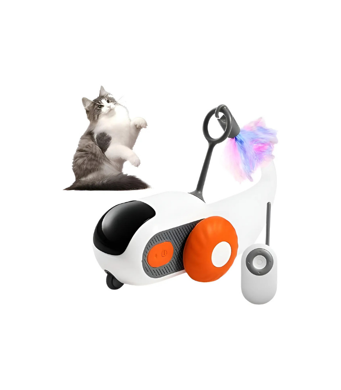 Juguete Inteligente Con Control Remoto Para Gatos Y Perros Juguete Inteligente Con Control Remoto Para Gatos Y Perros